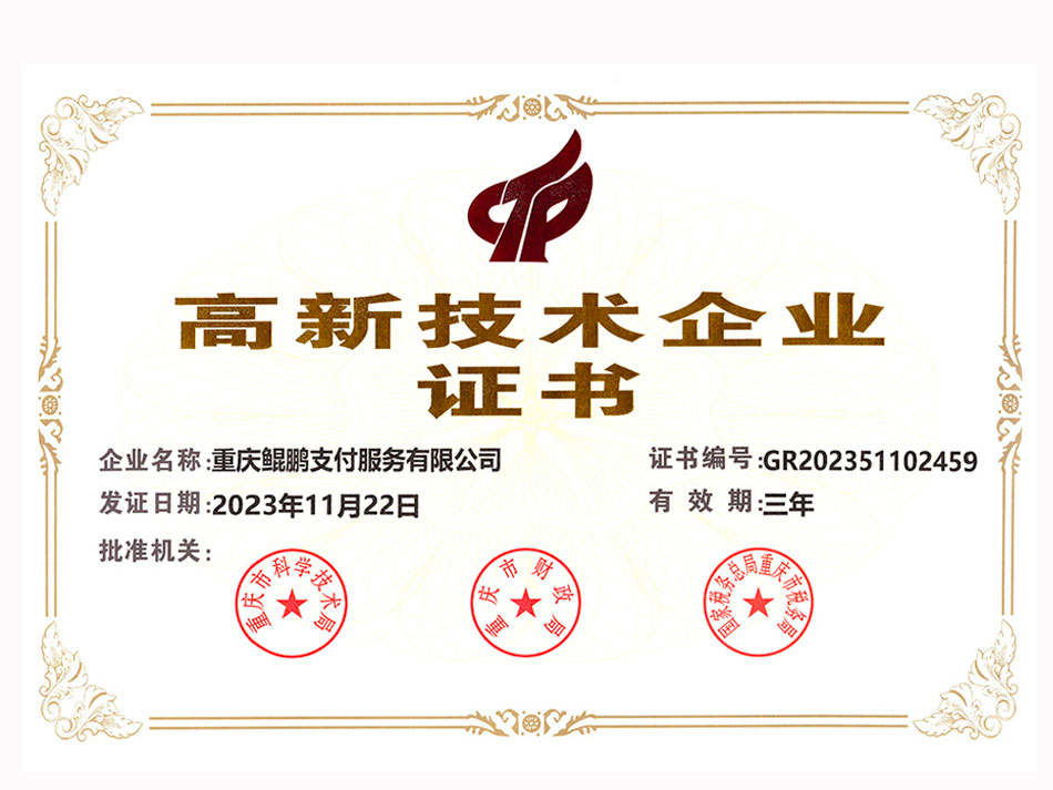 鲲鹏支付新技术企业证书