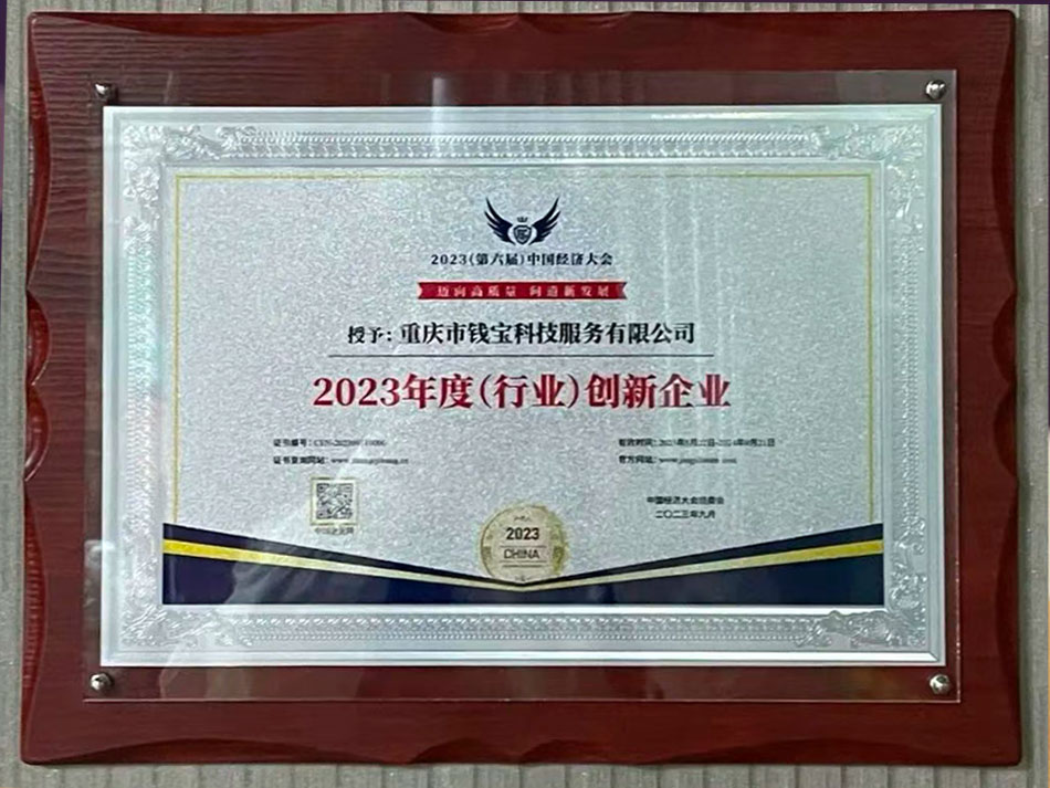鲲鹏支付年度(行业)优秀解决方案奖