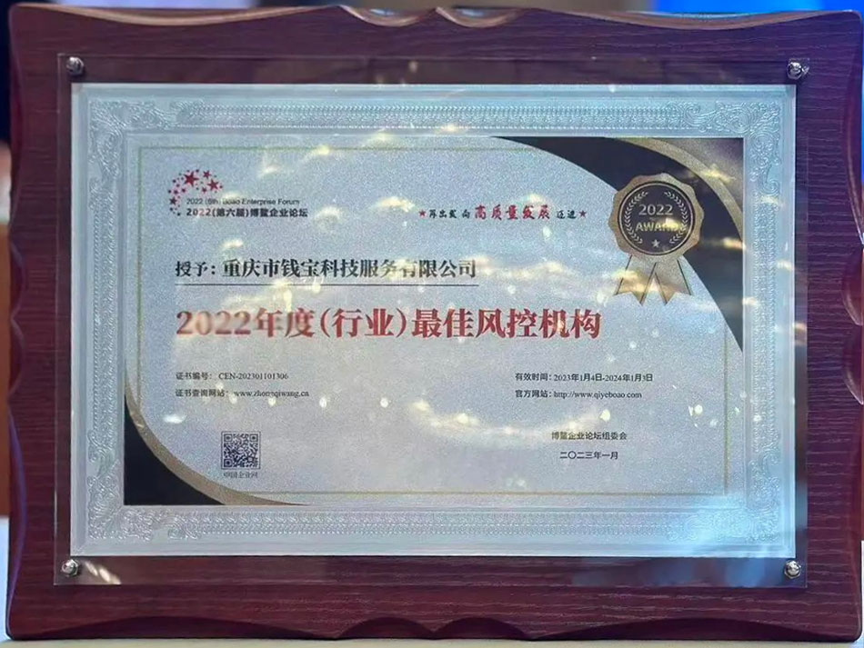 鲲鹏支付荣获年度行业最佳风控机构